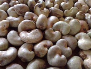  Raw Cashew Nuts