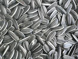  Sunflower Seeds