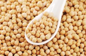  Soy Beans